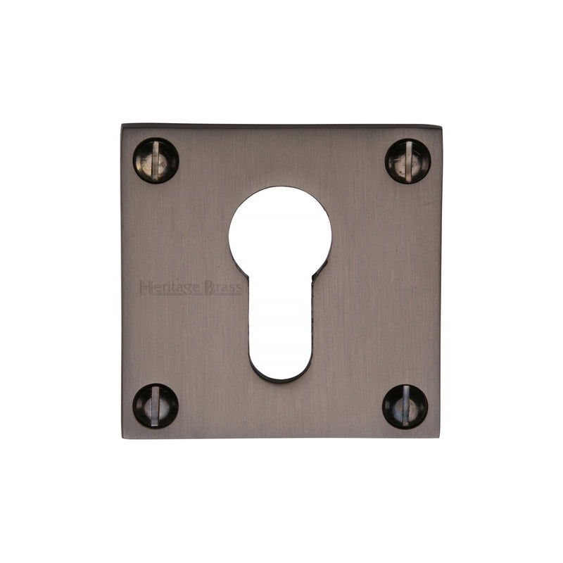 Euro Profile Cylinder Escutcheon Square  - BAU1558