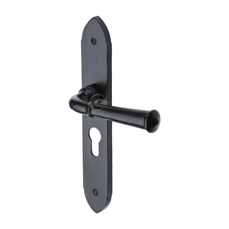 Black Iron Hadley Door Handle on Plate