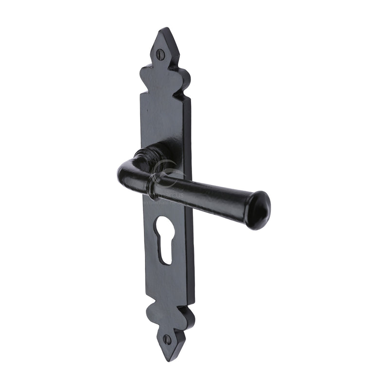 Black Iron Ludlow Door Handle on Plate