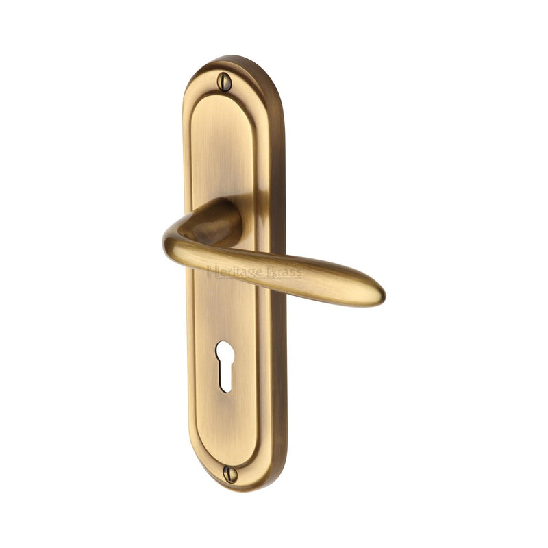 Henley Door Handle on Plate