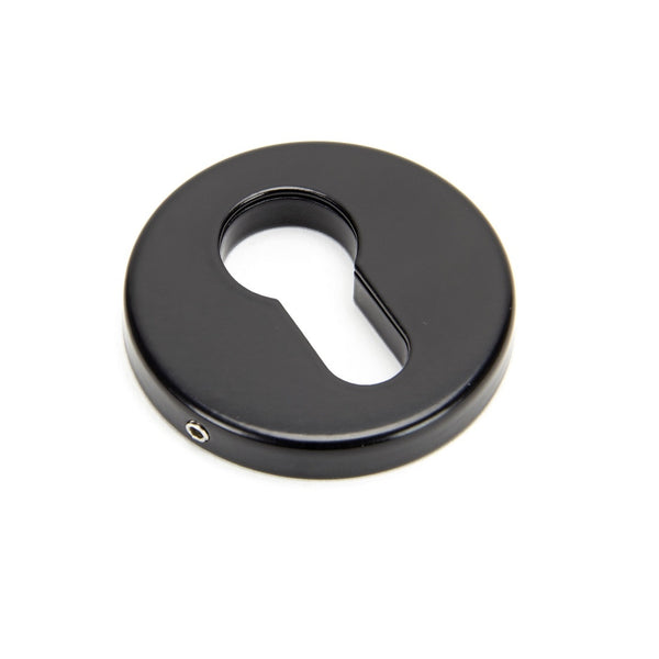 From The Anvil Regency Concealed Euro Profile Escutcheon - 52mm - Black