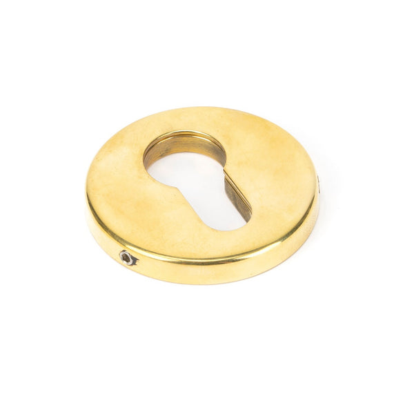 From The Anvil Regency Concealed Euro Profile Escutcheon - 52mm - Aged Brass