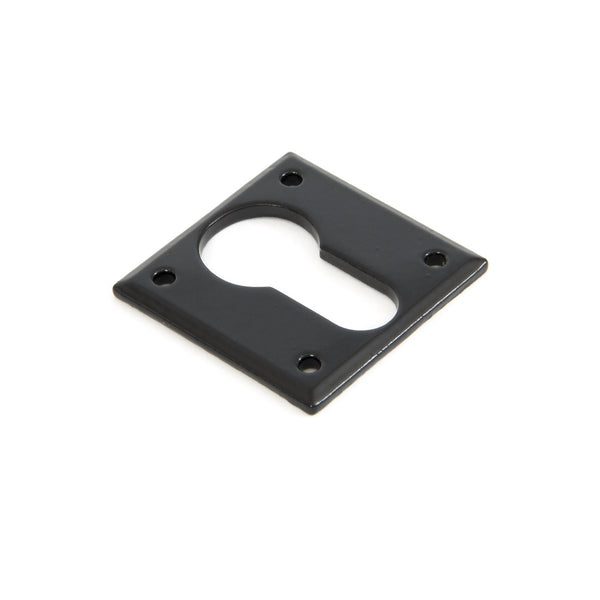 From The Anvil Avon Euro Profile Escutcheon - Black